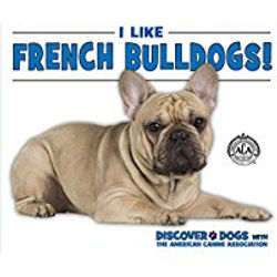 French Bull Dogs_