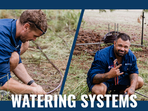 Why Now Is the Best Time to Install a Watering System