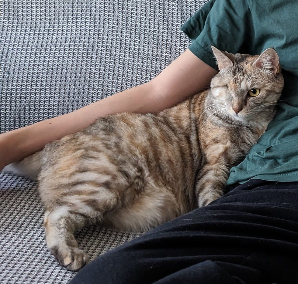 406187038_7247231635295599_3768708003748089838_n