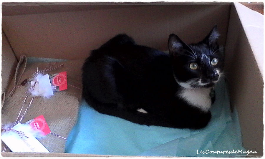 img-20161128-wa00411