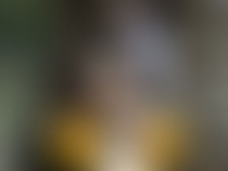 La promenade du matin