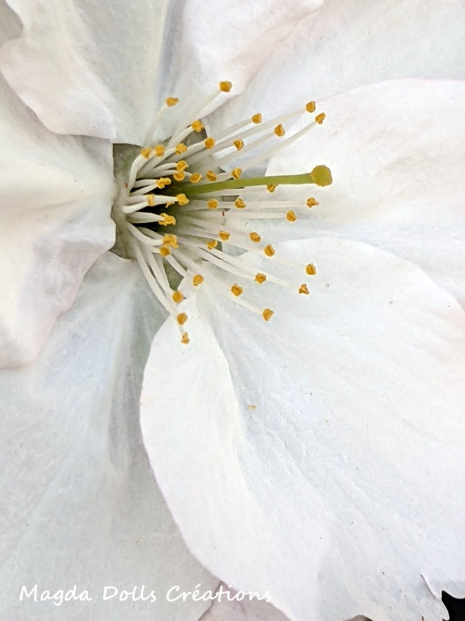 PXL_20220328_082653363.MP