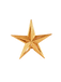 Star Icon
