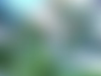 What is a Food Forest?