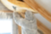 Back view of one foreman in overalls working with rockwool insulation material, fasten war
