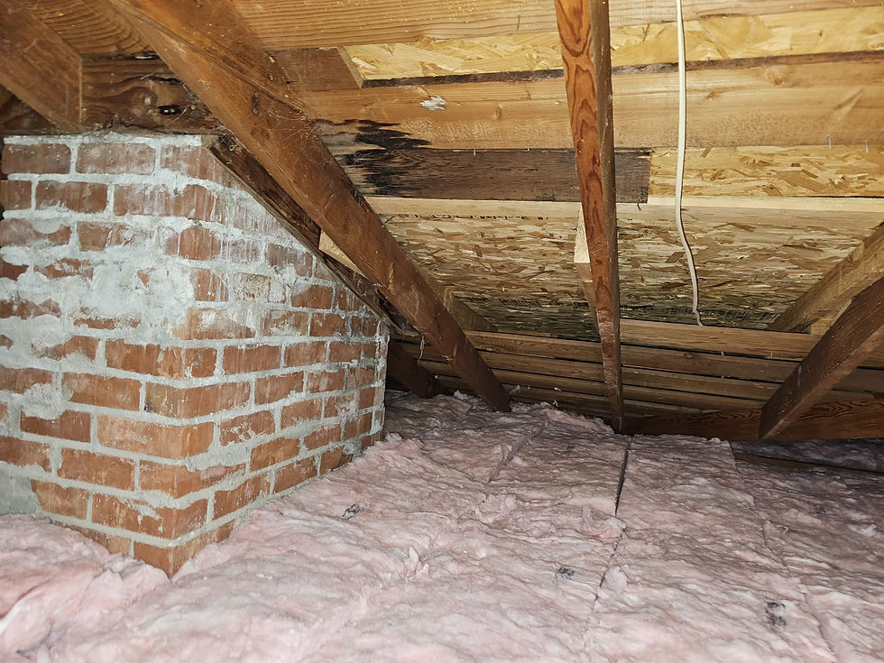 Insulation Installation