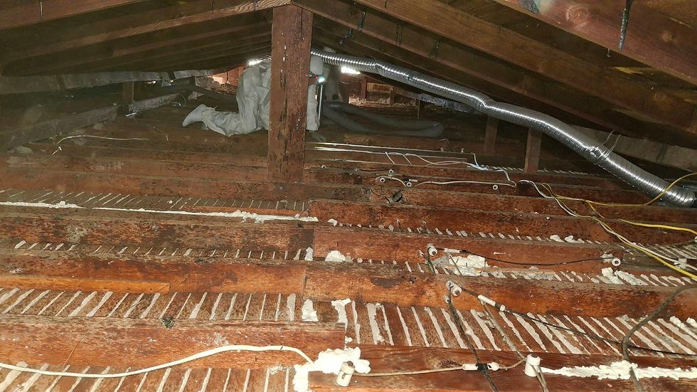 Attic Cleaning Up