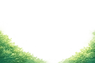 ChatGPT Image Apr 13, 2026, 04_02_00 PM.png