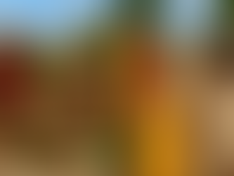 Threads & Flavours of Tobago: How Sustainable Food, Drinks, and Fashion Intertwine from Past to Present