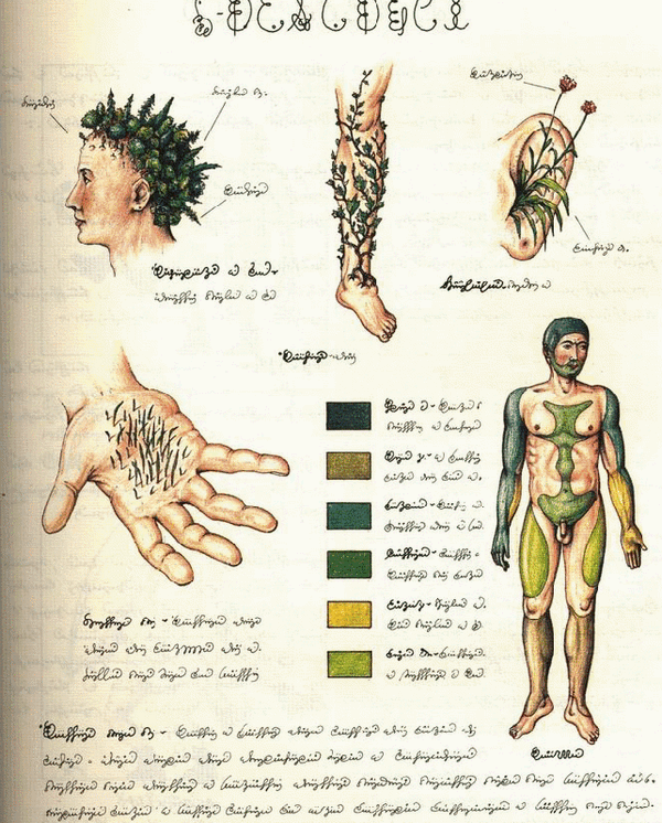 13-codex-seraphinianus.gif