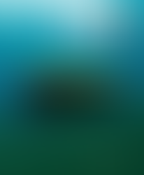 Check the Tech! Oi 2022 incoming...