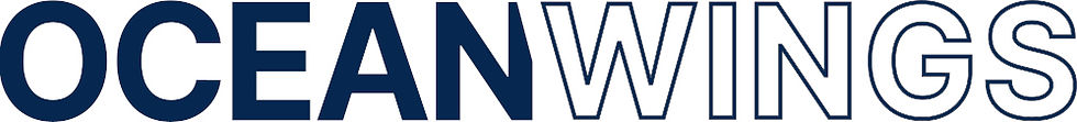 Bold navy text reads "OCEAN WINGS" on a white background. The sans-serif font and capital letters create a clean, modern feel.