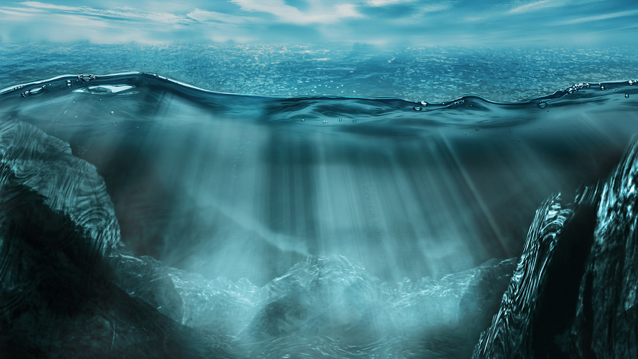 A digital illustration showing the water surface and below it, mostly in blue