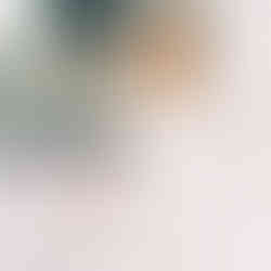 Bruiloft Natascha Froger trouwfotograaf Almere, trouwen in almere, trouwfotograaf flevoland, trouwfotograaf utrecht