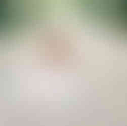 Spontane trouwfoto’s in een ongedwongen sfeer, trouwfotograaf gelderland