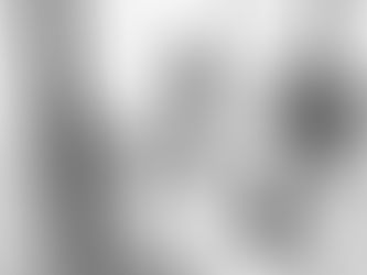 Het magische moment vóór de foto