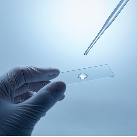 Selos de Qualidade e Boas Práticas: O que o Laboratório da Pharmy Faz para Proteger Você