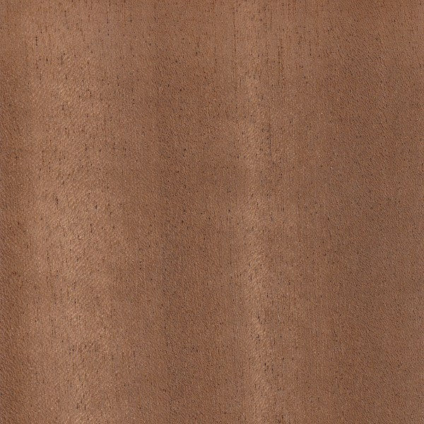African Walnut
