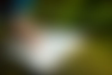 Wat is 'Bijbels holistisch?'