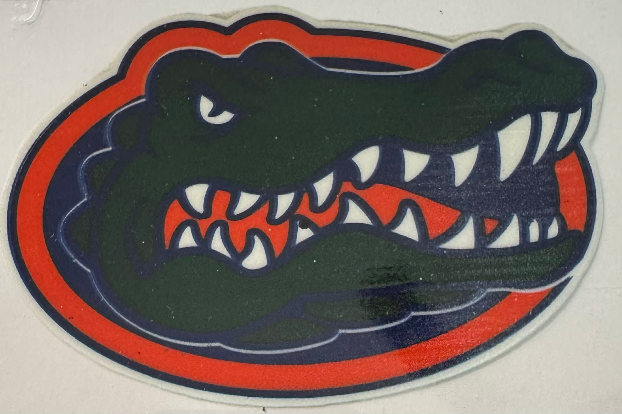 Florida Gator Head 1