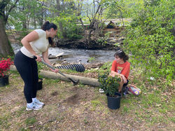 2 girls planting shrubs by a creek