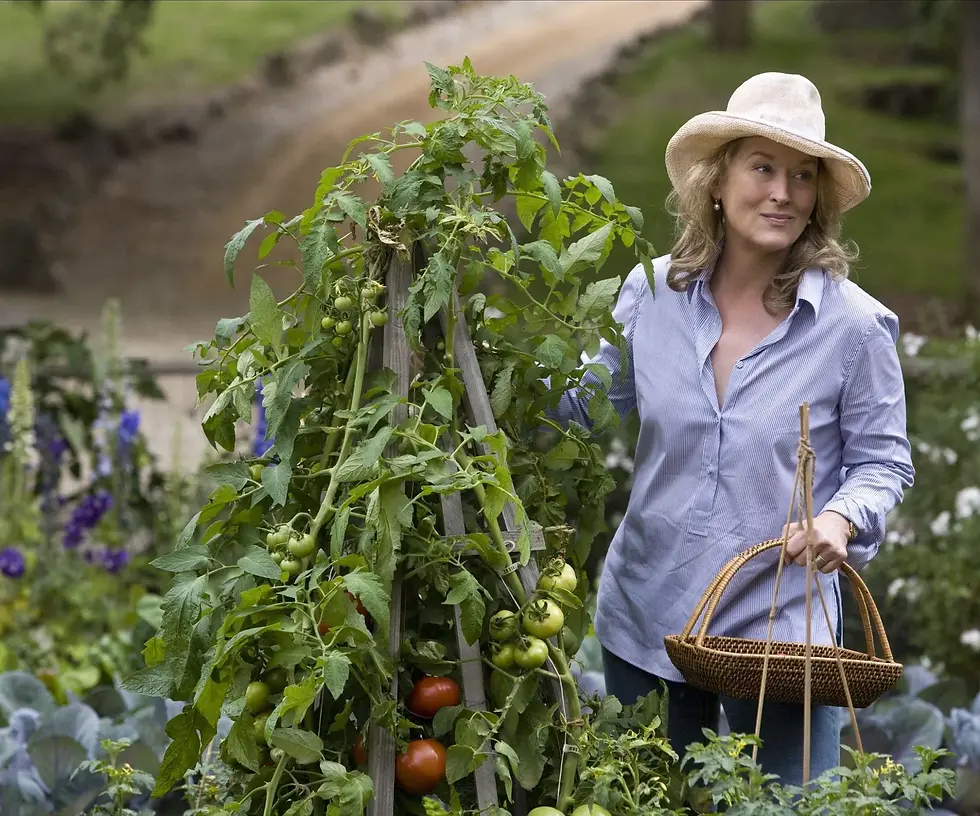 Meryl Streep from 'It's Complicated', 2009