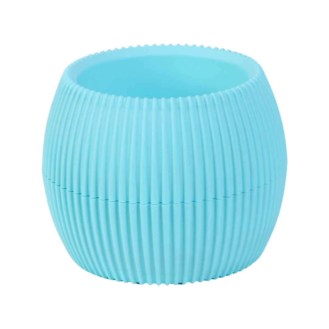 KAKTÜS SAKSI NO 3 (825)d6272