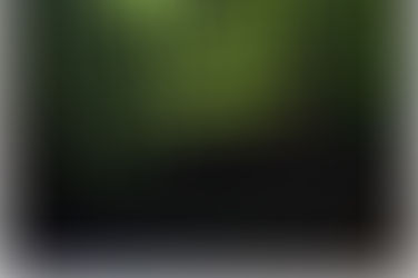 Close-up of a laptop keyboard beneath a screen showing green code and the text DATA TRANSFER COMPLETE >> CONNECTION CLOSED.