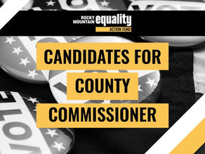2026 Primary Election: County Commissioner