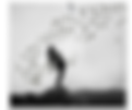 Entre Structure et Nature - Stage d'été  Feldenkrais et Danse authentique en Aveyron 