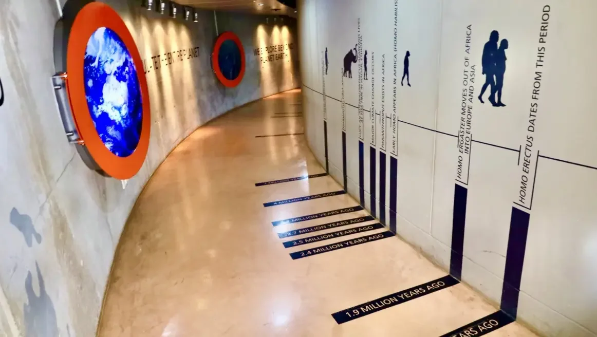 An exhibition inside the Maropeng Visitor Centre