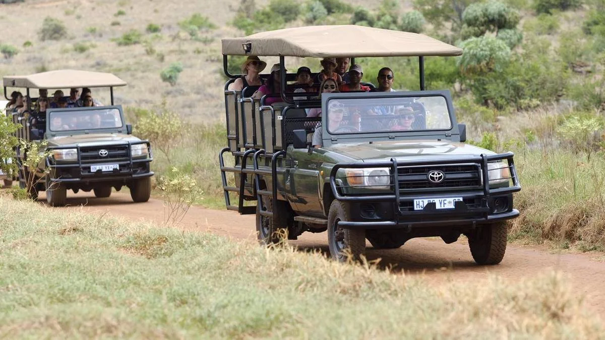 Open safari vehicles on a guided drive at Bothongo Rhino and Lion Nature Reserve