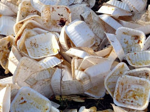 Disposable Plates