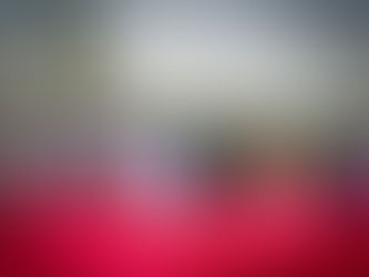 ARMED FORCES REMEMBRANCE DAY