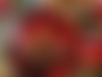 CHRISTMAS CELEBRATION AND NEW YEAR PREPARATION