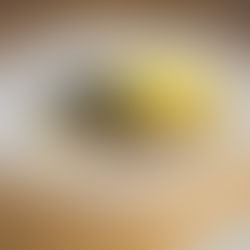 2025-01-05 신년예배