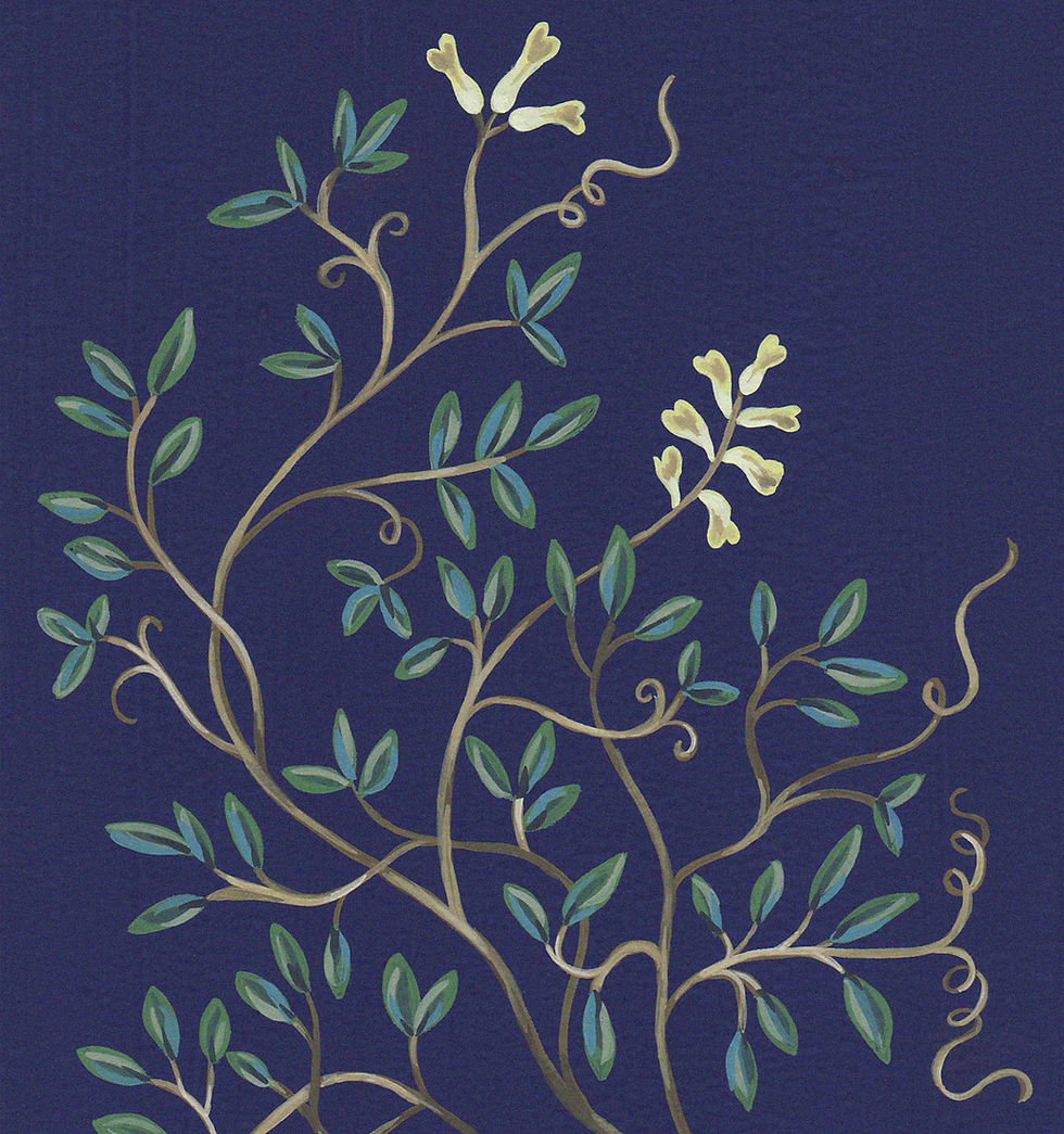 Miniaturbild: Postkarte | Zarte Flora - Corydalis