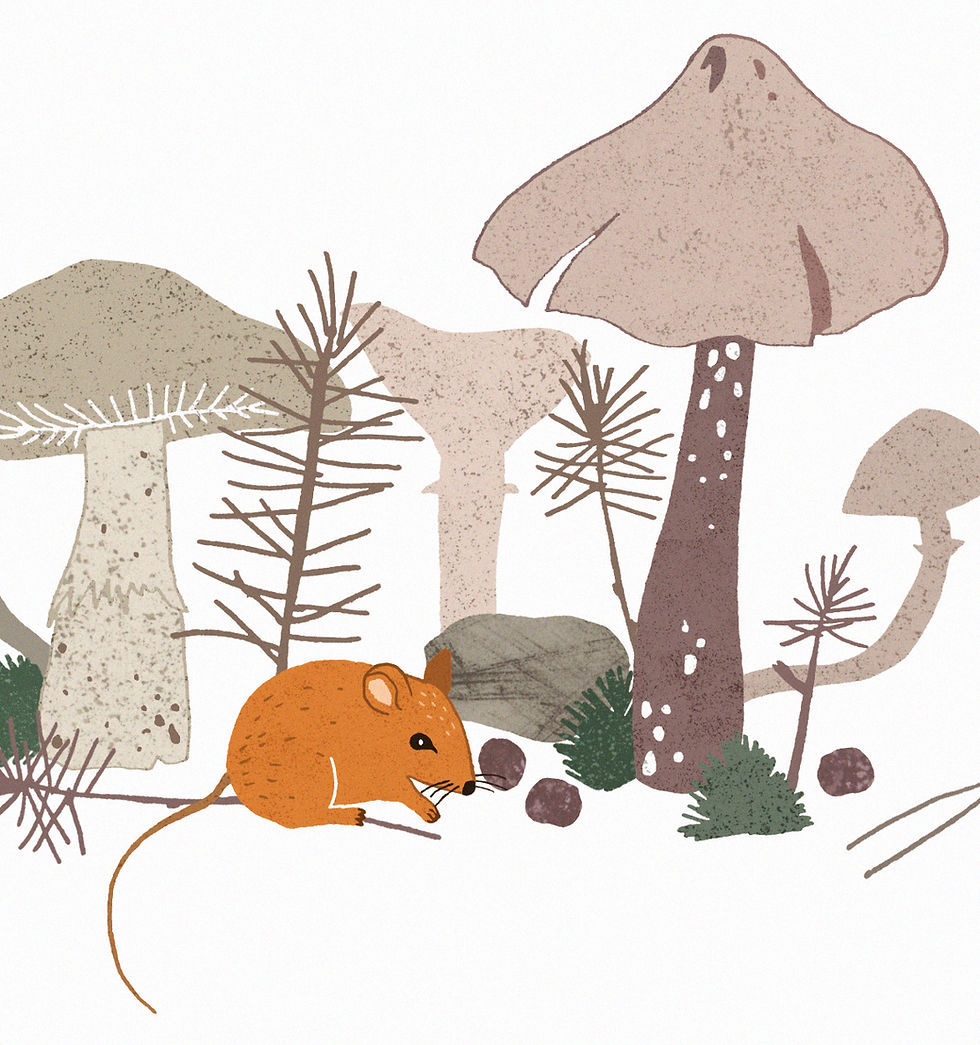 Miniaturbild: Klappkarte | Waldmaus