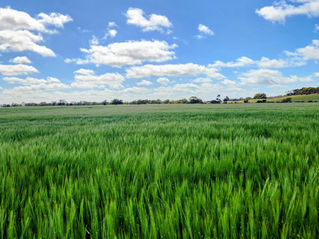 Protecting Prime Ag Land - A Nationals Priority.