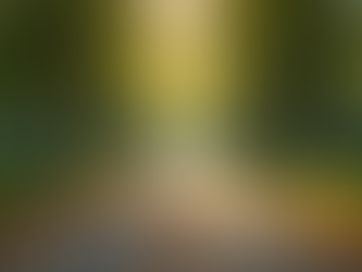 The Power of Mindfulness in Everyday Life