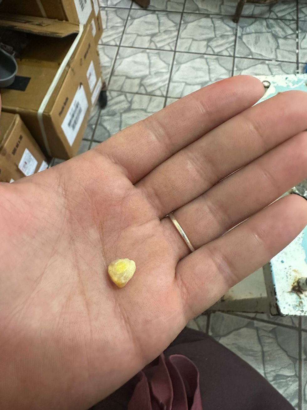 My corn kernel