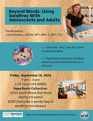 Sandtray flyer September 2026.jpg