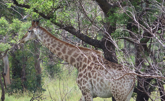 #maputoevents #maputoactivities