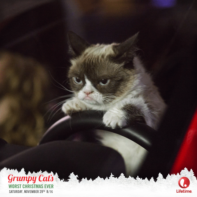 15_driving_crazy_animated copy.gif