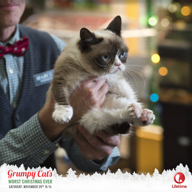 14_watch_tonight-v3_animated copy.gif