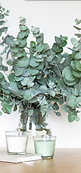 Untitled design(14).png