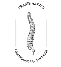 PRAXIS HARRIS_20250819_090801_0000.png