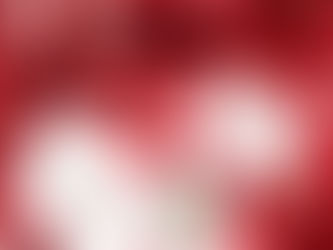 Queen of Hearts Collection 