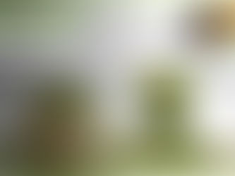 MATCHA ÇAYI: BİLMENİZ GEREKEN FAYDALARI VE YAN ETKİLERİ