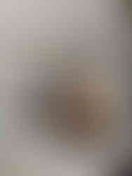 Lobby area at Hotel Mousai Cancun